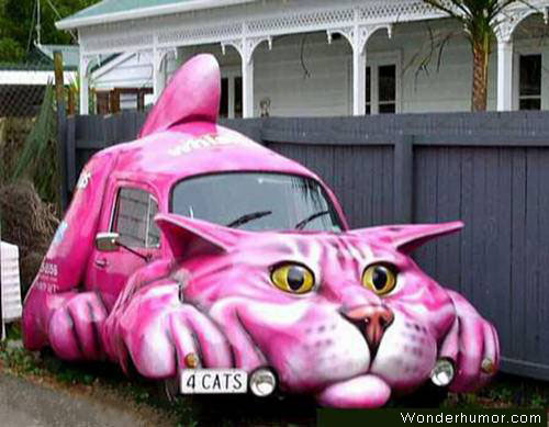 Pink cat car